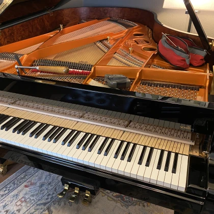 photo-piano-tuning-regulating-repa