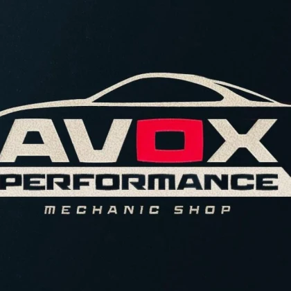 photo-avox-performance