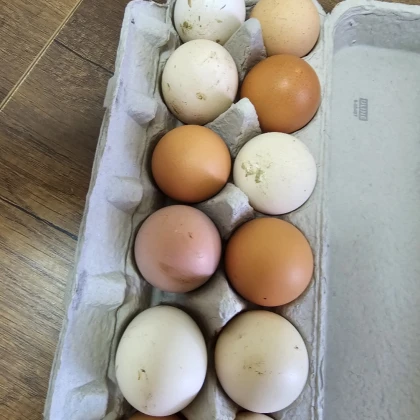 sergey-chastichniy-remont-photo