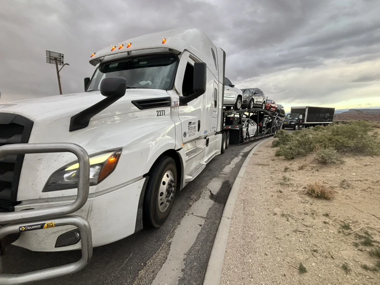 Viacheslav Murashev-avatar