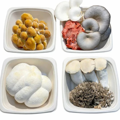 mushroomdirect-photo