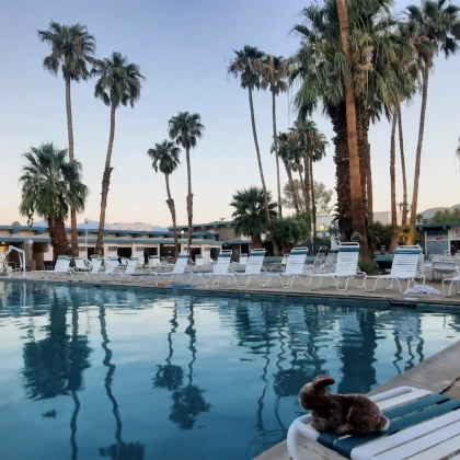 dobro-pozhalovaty-v-otely-relax-vash-oazis-spokoystviya-i-relaksatsii-photo