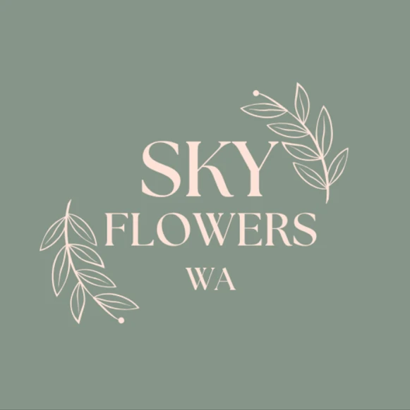 Skyflowers-avatar