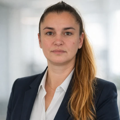 konsulytatsii-po-optimizatsii-bi-photo