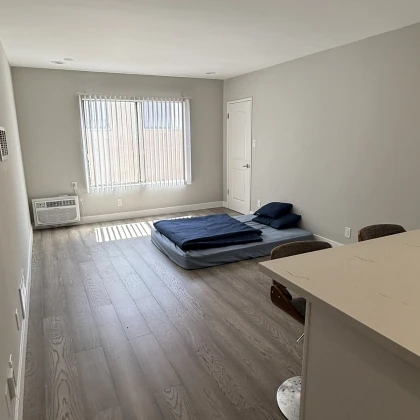 ishtu-rummeyta-soseda-po-komnate-photo