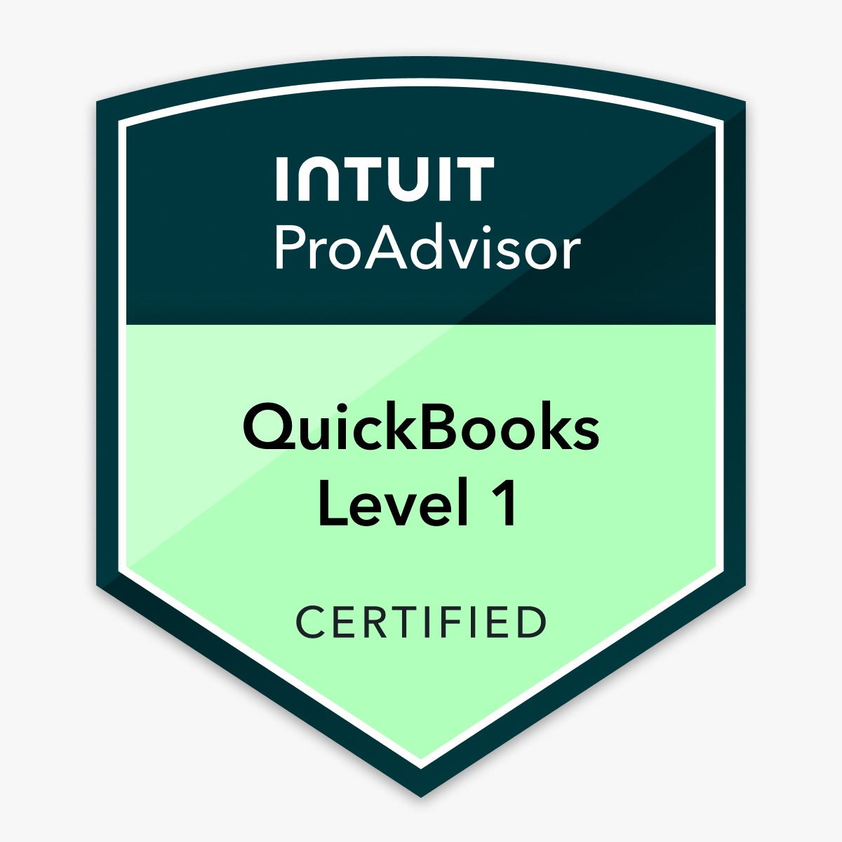 Бухгалтерия для бизнеса в США, QuickBooks, учёт, сверка - Фото 2