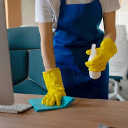 Cleaning service Shining Way LLC