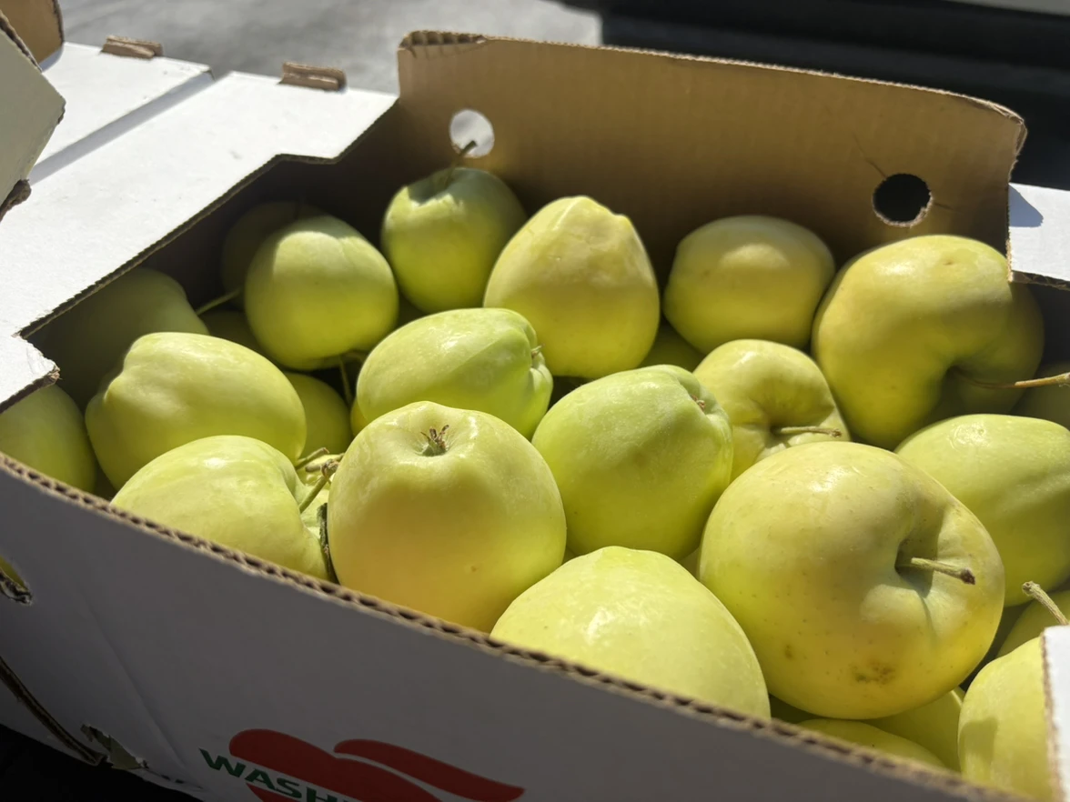 Sales Fruits