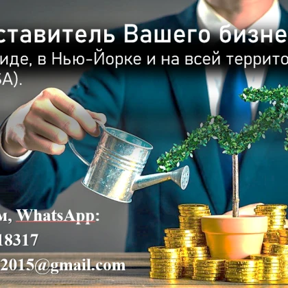 Стану вашим надежным помощником, бизнес-партнером, компаньоном в США