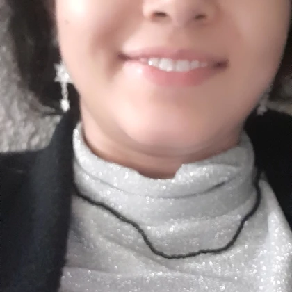Elementary school education facilitator