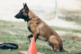 Ігор Рудка-avatar