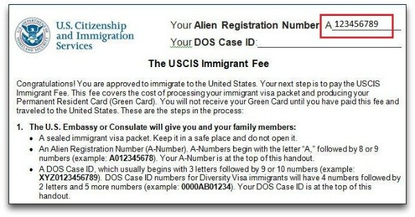 На раздаточном материале USCIS по иммиграционному сбору (Immigrant Fee Handout)
