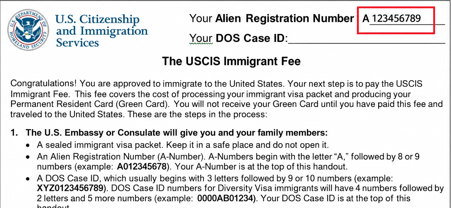 На раздаточном материале USCIS по иммиграционному сбору (Immigrant Fee Handout)
