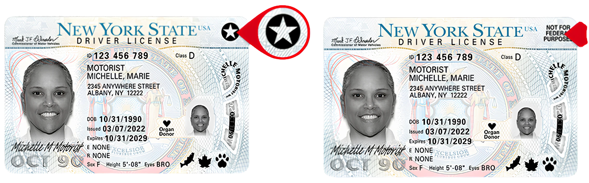 Приклади REAL ID та DL в штаті Нью-Йорк