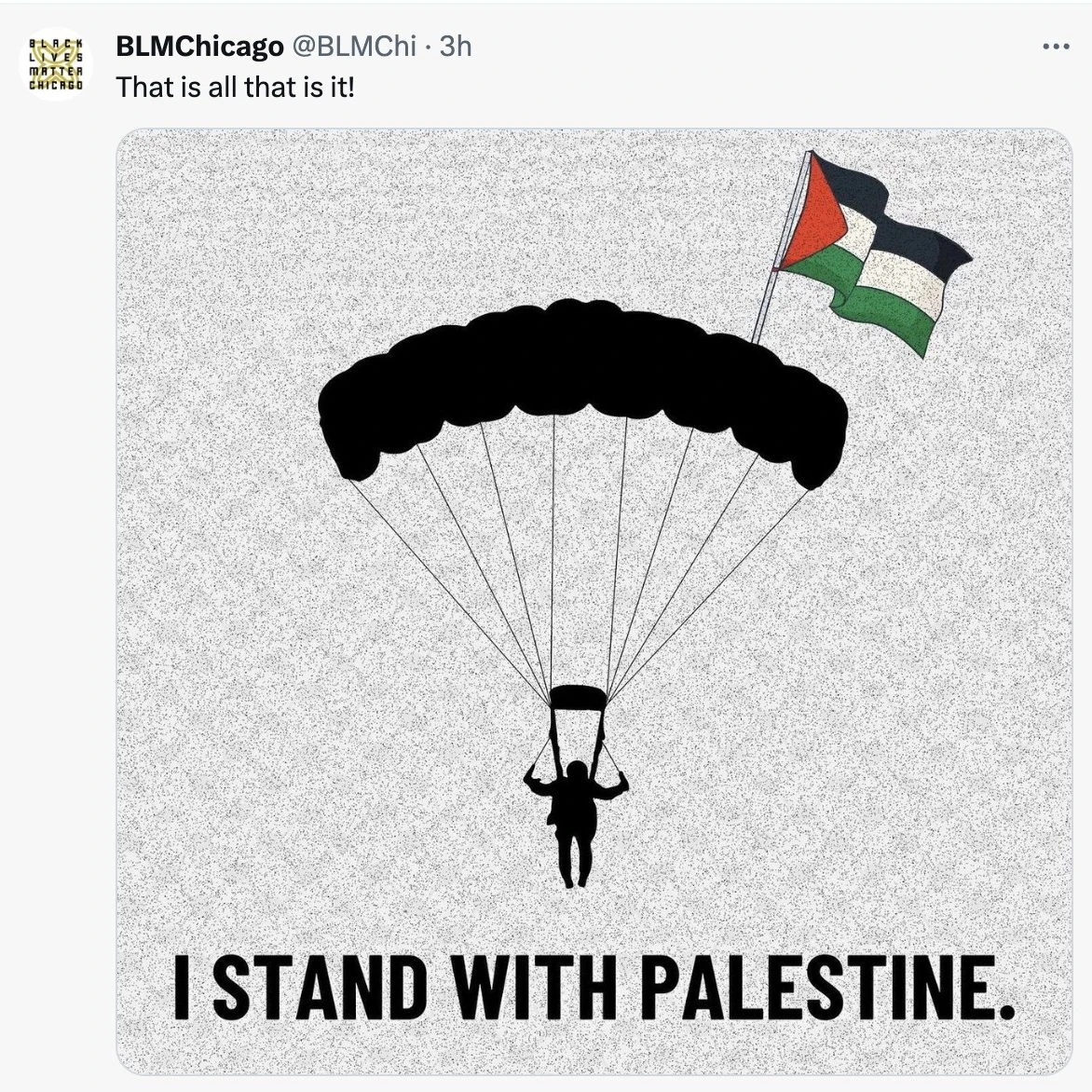 Чикагское отделение BLM: «Я поддерживаю Палестину»