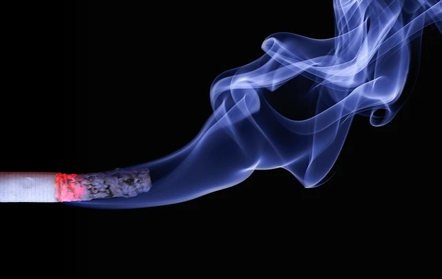 Белый дом отложил запрет ментоловых сигарет, так как решение может ударить по темнокожему сообществу
