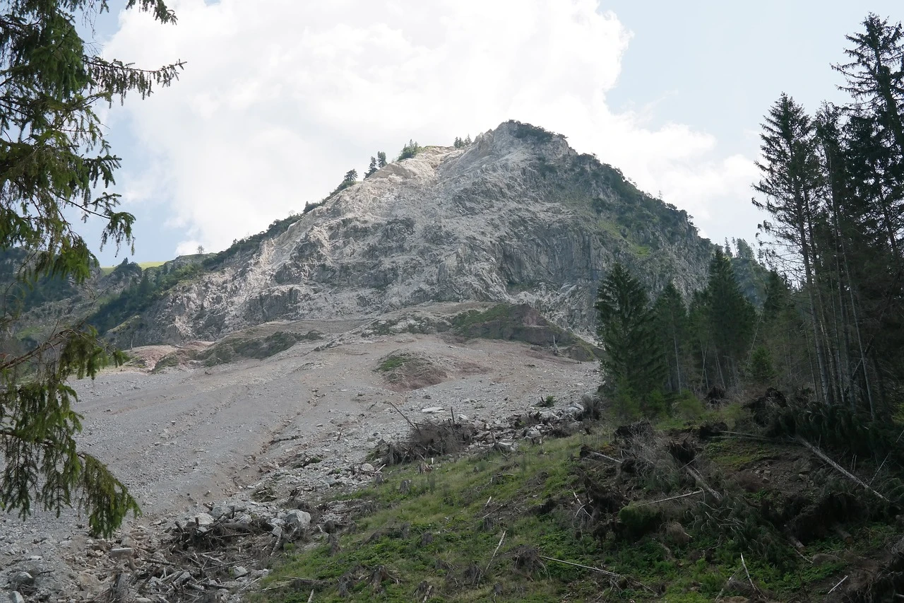 В Калифорнии деревья обрушились на шоссе из-за оползня