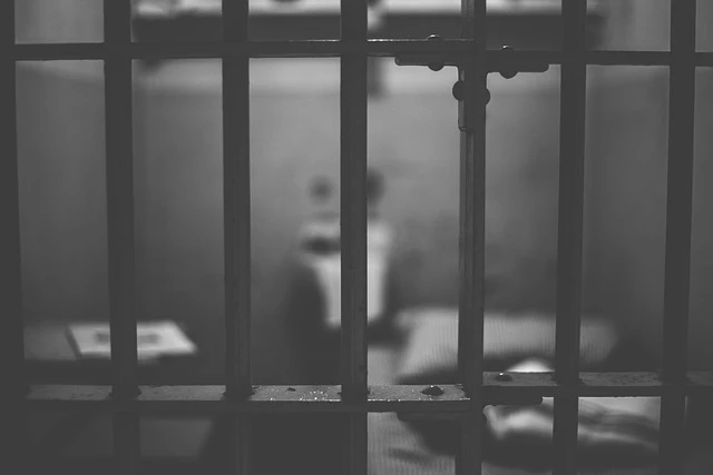 Мать мальчика, тело которого отец скормил свиньям, отсудила у властей $1 миллион