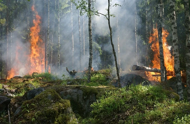 Одиозная республиканка послала телеведущую