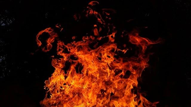 Девочка погибла при пожаре, пытаясь спасти свою собаку