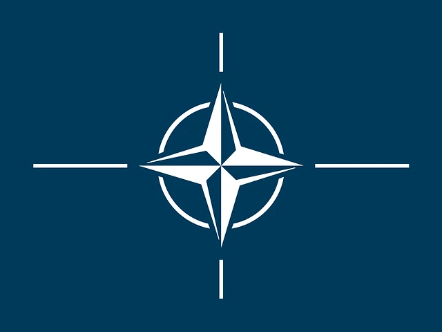 Премьер-министр Нидерландов станет новым генсеком НАТО