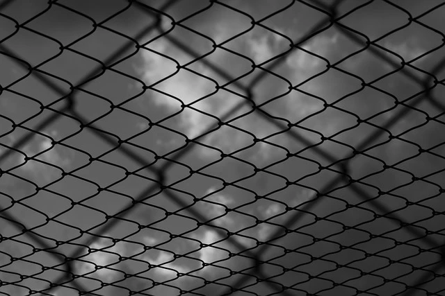 8 выстрелов самообороны: подозреваемый оправдывает убийство своей девушки