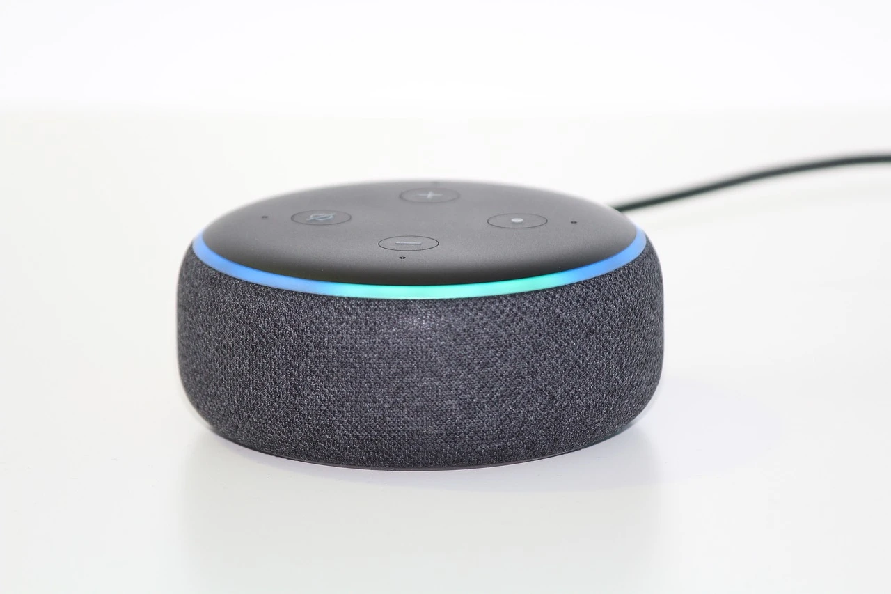 Alexa советует владельцам голосовать за Камалу Харрис