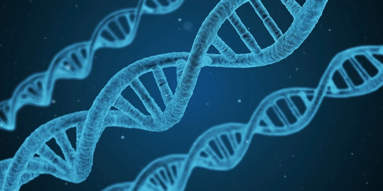Генпрокурор Калифорнии призывает удалить свои данные из 23andMe