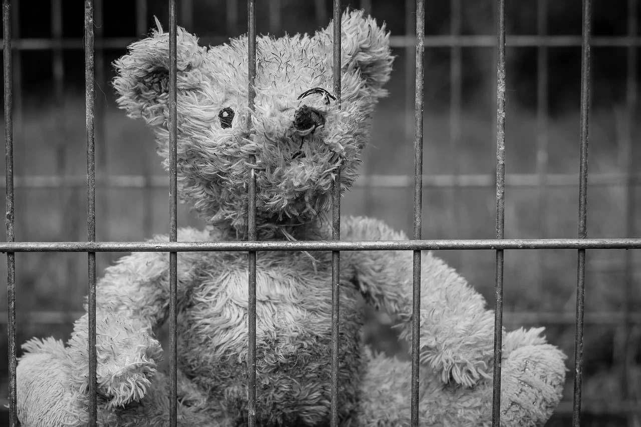Мать утопила дочь - возможно, из-за депрессии насчет иммиграционного статуса