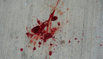 blog-thumbnail