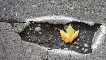 blog-thumbnail