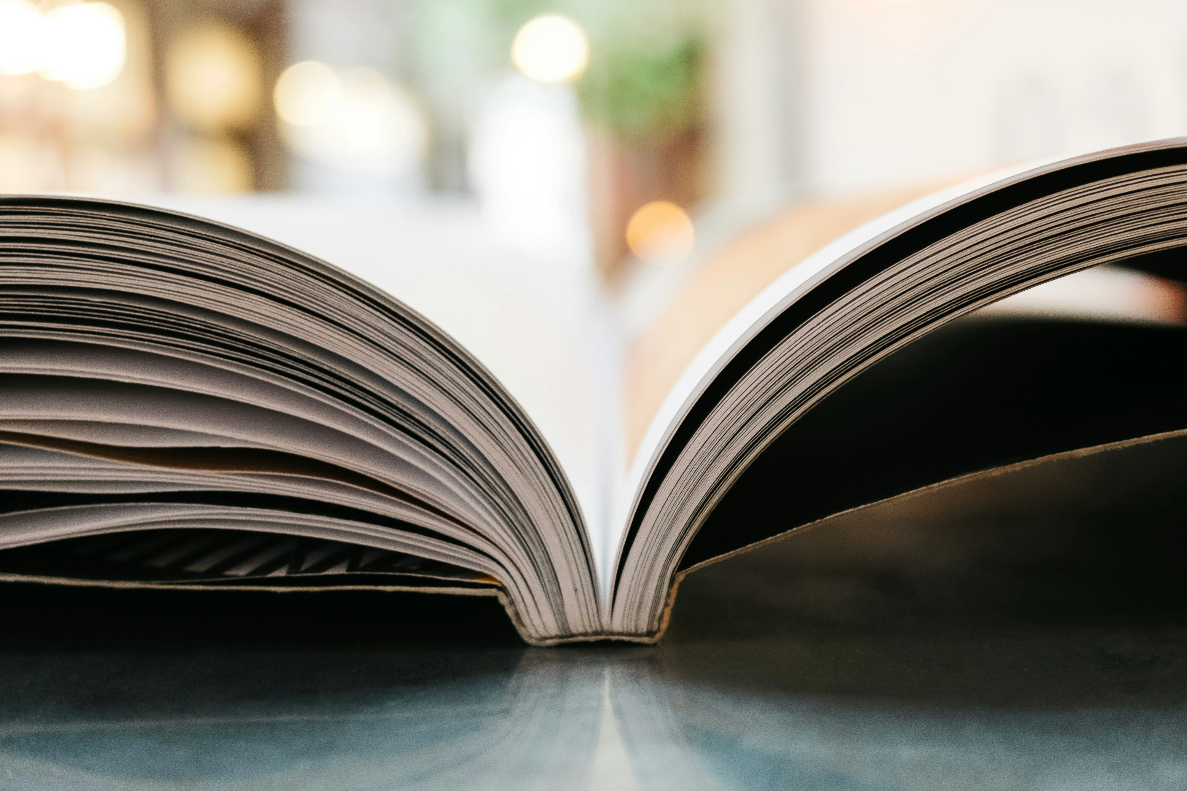 Помощники Байдена критикуют Камалу Харрис за ее книгу