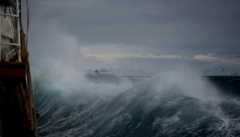 blog-thumbnail