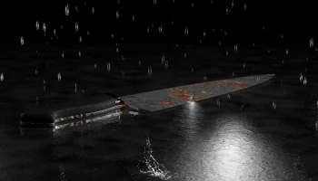 Нелегального мігранта затримали після вбивства матері, бабусі та немовляти