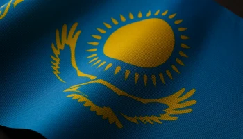 Отец из Калифорнии начал голодовку в Казахстане, требуя вернуть пропавшего 4-летнего сына