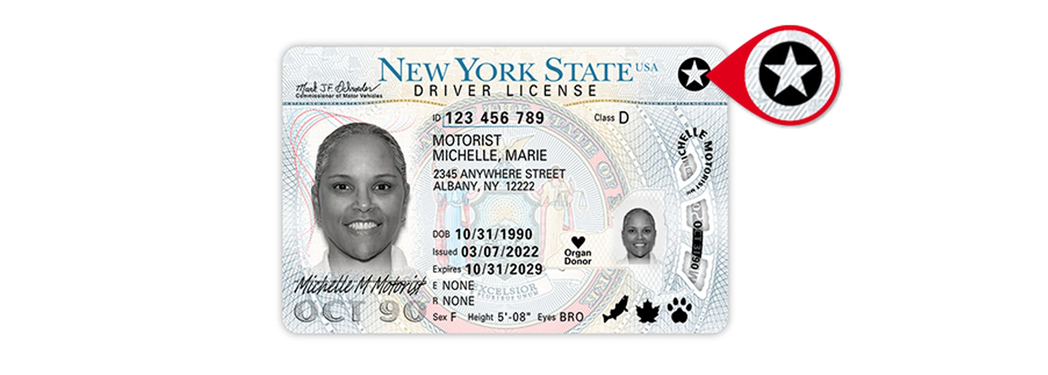 REAL ID: что это и как его получить в США. Все, что нужно знать - BAZAR.club