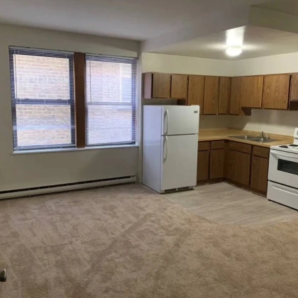 sdaiotsya-kvartira-2bdr-c-1vannoy-v-edgewater-il-photo
