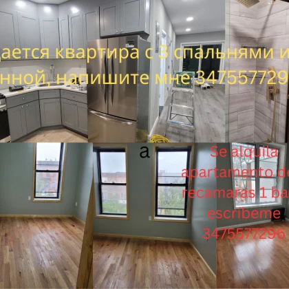apartment-for-rent-brooklyn-ny-photo