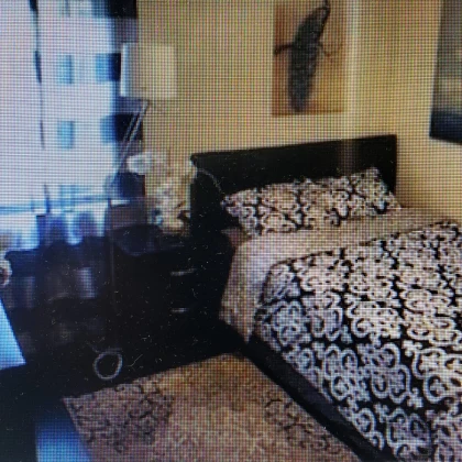 sdayu-v-rent-komnatu-photo