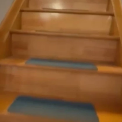 334429