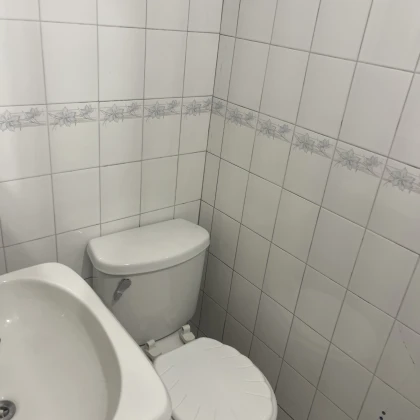 332567