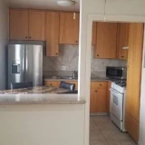 main-photo-prostornaya-studiya-kvartira-v-n