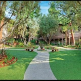 main-photo-sdaetsya-komnata-310