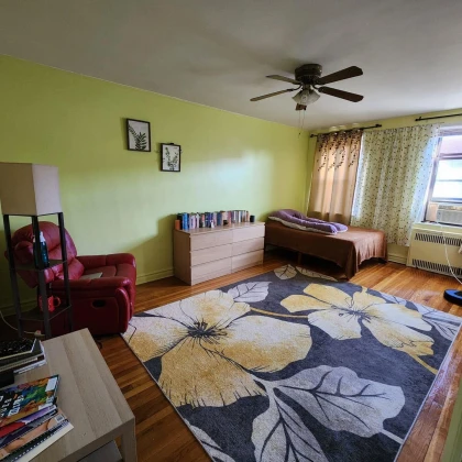 photo-sdaiotsya-prostornaya-komnata-7