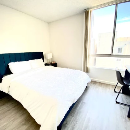 ishtem-rumeyta-v-master-bedroom-1-photo