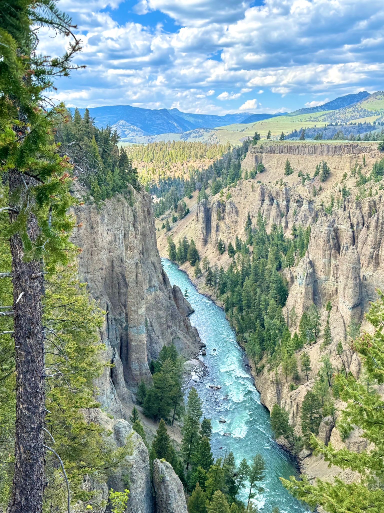 Домик в аренду для отпуска в Bozeman, Montana - Фото 8