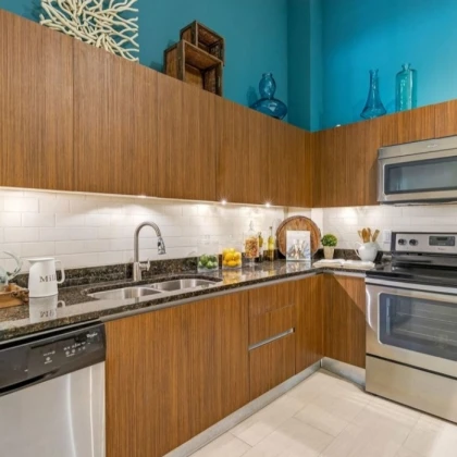 komnata-v-fort-lauderdale-9-photo