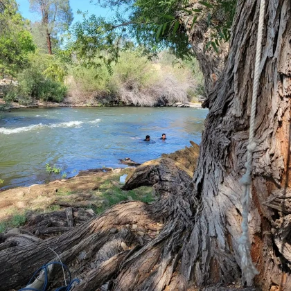 zemlya-na-prodazhu-s-na-ozere-i-photo