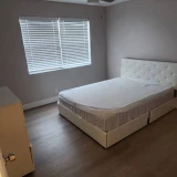 main-photo-renting-a-room-in-davie-florida