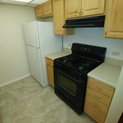 mount-prospect-2-bedrooms-2-bathrooms-apt-for-rent-photo